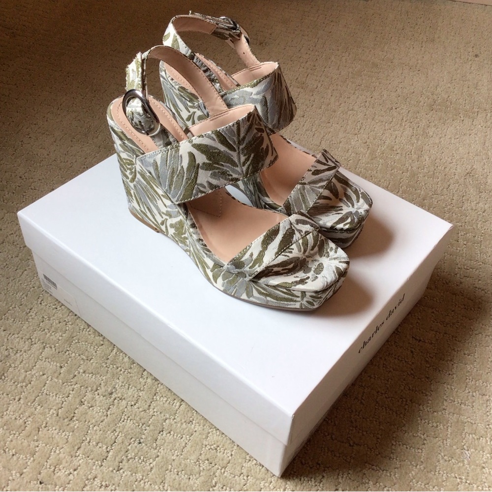 Charles David Jordan Green Leaf Wedges Women’s Size 5. Worn but Great Condition.